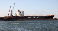 MSC CARINA - J. Pons, en Antwerpen 11.11.2008 - http://www.baixamar.com/