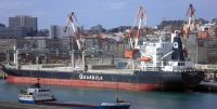 CRANE ARROW - Juli&aacute;n G. Cueli, en Santander 01.03.2008 - http://www.baixamar.com/