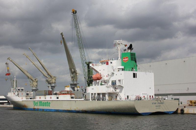 STAR LEADER Carga refrigerada Grace Ocean Pte. Ltd. Frigorífico